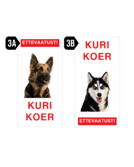 kuri koer