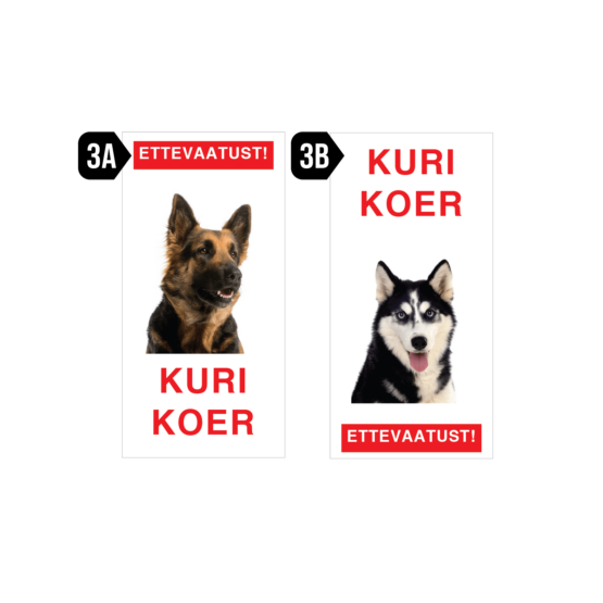 kuri koer