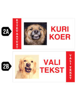 kuri koer