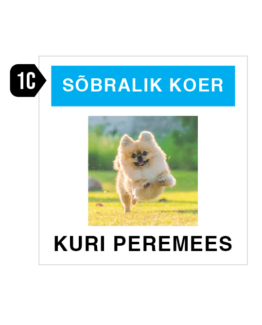 koera silt