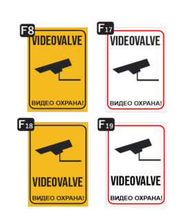 Videovalve