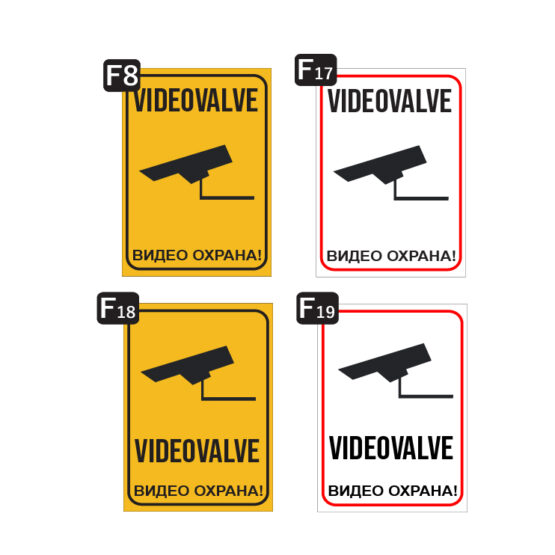 Videovalve