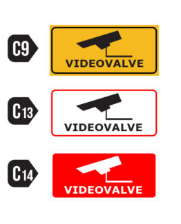 Videovalve