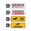 Videovalve