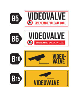 Videovalve