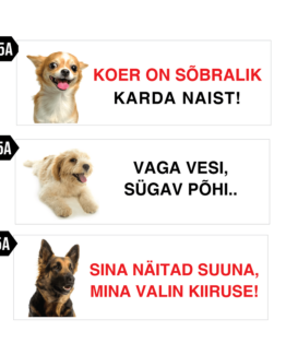 koera silt