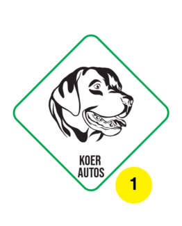 koer autos