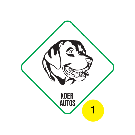 koer autos