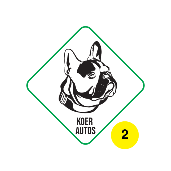 koer autos