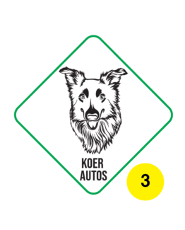 koer autos