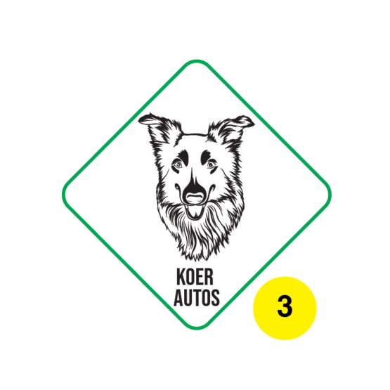 koer autos