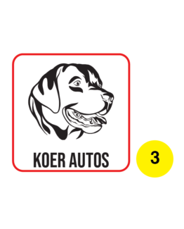 koer autos