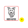 koer autos