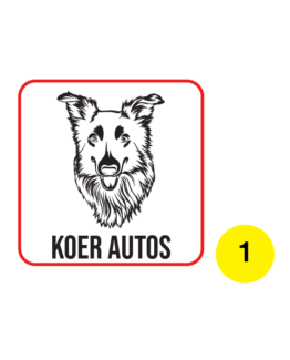 koer autos